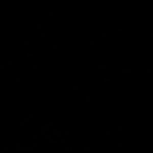 Meet your Posher, Abraham